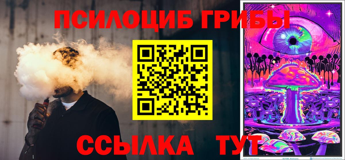 Псилоцибиновые грибы GOLDEN TEACHER  Галлюциногенные грибы GOLDEN TEACHER  Вход с VPN  Биробиджан 