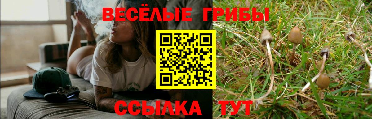 Псилоцибиновые грибы мицелий Биробиджан